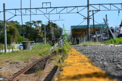 社内旅行被災地