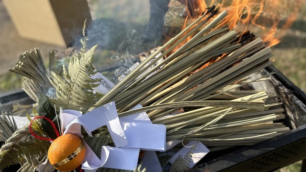 2026-とんどさん