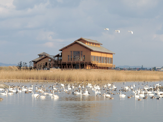 米子水鳥公園